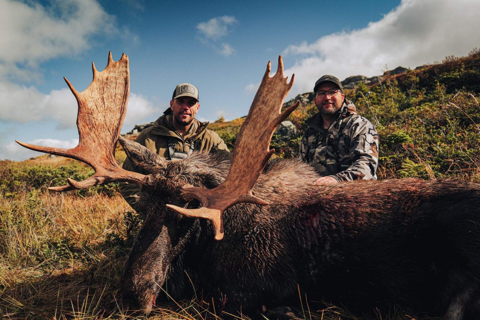Forfaits de chasse au gros gibier à l'orignal — Akhaia Outfitters Inc. – Akhaia Outfitters Inc.