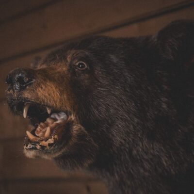 akhaia-outfitters-00089