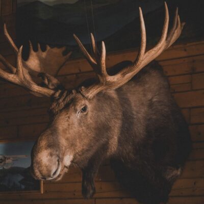 akhaia-outfitters-00093