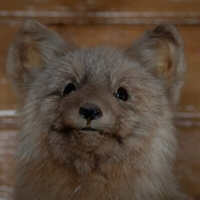 akhaia-outfitters-00094