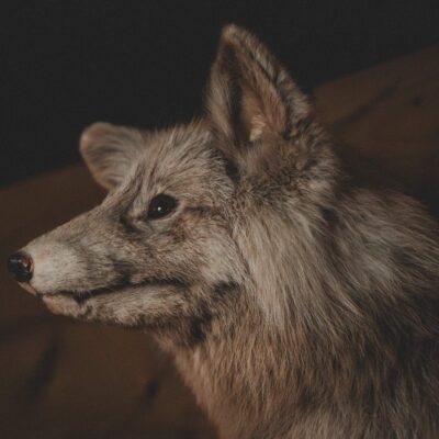 akhaia-outfitters-00095