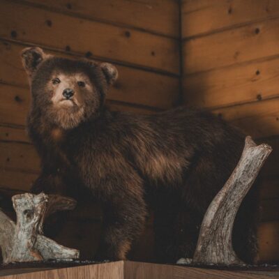 akhaia-outfitters-00096