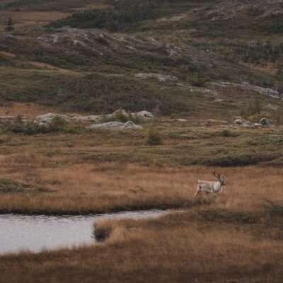 akhaia-outfitters-00105