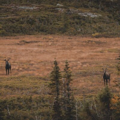 akhaia-outfitters-00134