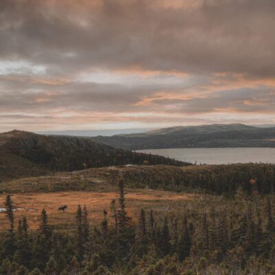 akhaia-outfitters-00135